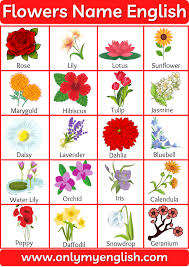 Different types and kinds of beautiful flowers and blossoming plants of the world with a to z list navigation and images. Flowers Name List Of Flower Names In English With Pictures