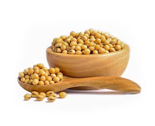 SOYABEAN SEEDS 500G.