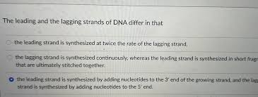 Simultaneous Real-Time Imaging Of Leading And Lagging Strand Synthesis  Reveals The Coordination Dynamics Of Single Replisomes - Sciencedirect