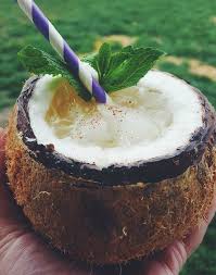 Tropical Coconut Rum Cocktail Recipe Coconut Rum Cocktail Coconut Recipes Coconut Rum