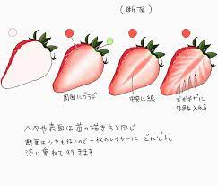 もぎたてジューシー！果物の描き方 ～イチゴ・レモン～ | いちあっぷ