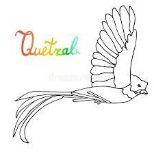 Quetzal = ave exotica coatl = serpiente. Quetzal Bird Stock Illustrations 130 Quetzal Bird Stock Illustrations Vectors Clipart Dreamstime
