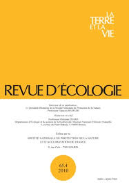 Image result for Petersianthus macrocarpus