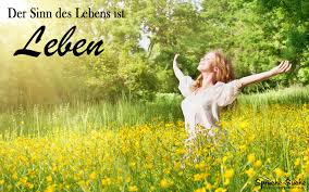 Zitate Und Lebensweisheiten Sprüche Suche