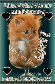 Weitere ideen zu dienstag grüße, guten morgen gruss, dienstagsgruß. Dienstag Bilder Dienstag Gb Pics Seite 2 Gbpicsonline