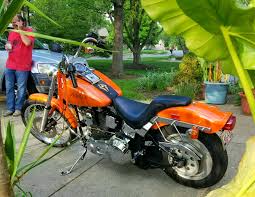 Image result for Mandarin Orange 1993 FXR