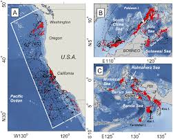 The borneo company limited (bcl). Large Scale Movements And High Use Areas Of Western Pacific Leatherback Turtles Dermochelys Coriacea Benson 2011 Ecosphere Wiley Online Library