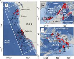 Es gibt 2 verbindungen von manado nach manokwari per flugzeug oder per fähre. Large Scale Movements And High Use Areas Of Western Pacific Leatherback Turtles Dermochelys Coriacea Benson 2011 Ecosphere Wiley Online Library