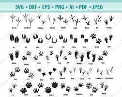 Download Animal Paw Svg Paw Prints Svg Footprints Svg Files For Etsy