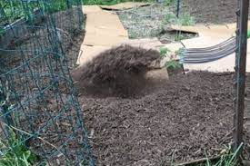 A single layer of cardboard is laid out over the areas of lawn no longer needed. 5 Great Ways To Use Cardboard In The Garden 5 Steps Instructables