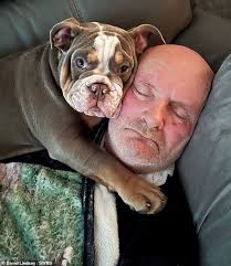 My puppy chewed my big toe to the bone while I slept