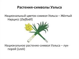 Национальные символы из wales включают разнообразие официальных и неофициальных изображений и другой символики. Soedinyonnoe Korolevstvo Velikobritanii I Severnoj Irlandii Prezentaciya Onlajn