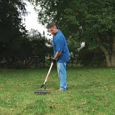 Not pictured, craftsman rake 2yr ⋅ blaskowski. Wood Handle Thatching Rake Cmxmlba2200 Craftsman