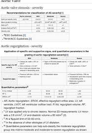 Aortic Valve Classification Of Valve Stenosis And