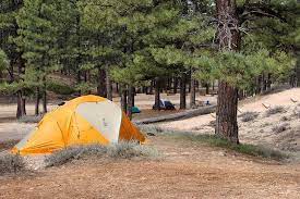 7 Best Campgrounds Near Bryce Canyon National Park Planetware