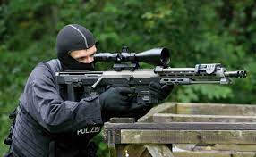 After that it seems that i. Dsr Precision Dsr 1 Weaponsystems Net