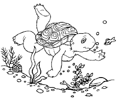For boys and girls, kids and adults, teenagers and toddlers, preschoolers and older kids at school. Coloring Pages Turtles Free Printable Coloring Pages Turtle Coloring Pages Free Printable Coloring Pages Coloring Pages