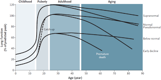 Image result for Lung Function Questionnaire