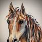 Our Filly at Surveyor General, Berima event image