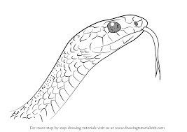 How to draw a snake, easy snake drawing tutorial. Learn How To Draw A Black Racer Snake Snakes Step By Step Drawing Tutorials