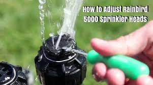 For adjusting rainbird 5000, hold that small tower and point the nozzle at the fixed left stop and then insert a small flat head screwdriver into the adjustment slot. How To Adjust Rainbird 5000 Sprinkler Heads Useful Guide