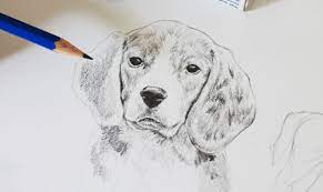 We'll walk through basic anatomy angie, is a british artist that specialises in original pet portraits, based on pictures. Drawing Realistic Animals How To Draw A Dog