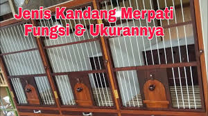 Cara membuat kandang burung merpati yang bagus. 5 Jenis Kandang Merpati Ukurannya Youtube