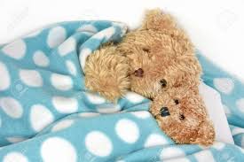 Zu beziehen auf das zusammenschlafen. Teddybaren Kuscheln Unter Decke Polka Dot Vlies Lizenzfreie Fotos Bilder Und Stock Fotografie Image 55534016