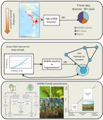 There are 7 moderate trails in blue ridge wildlife management area ranging from 3.1 to 30.1 km and from 767 to 1,150 meters above sea level. Designing Landscapes For Biomass Production And Wildlife Sciencedirect
