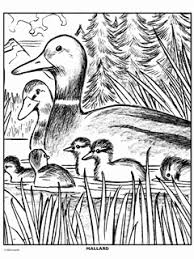 40+ mallard coloring pages for printing and coloring. New Coloring Pages Free Coloring Pages Crayola Com
