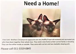 973 likes · 7 talking about this · 123 were here. Ark Veterinary Centre 25 Lebuh Lembah Permai 1 Tanjung Bungah Penang 2021