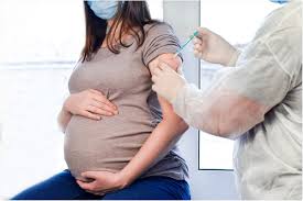 Mrna vaccines work by teaching the body how to produce some of the covid spike protein in order to generate an immune response to fight the virus. Pfizer Biontech Covid 19 Vaccine May Not Be Associated With Adverse Effects On Fertility And Breastfeeding Says Study