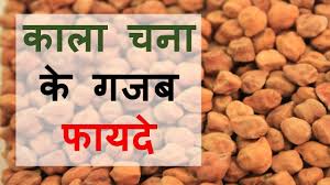 Image result for à¤à¤¾à¤²à¥ à¤à¤¨à¥ à¤à¥ à¤«à¤¾à¤¯à¤¦à¥