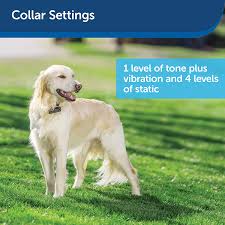 Now that i have switched to invisible fence brand, i am very satisfied and will continue to highly recommend invisible fence to my clients. Multiple Wire Gauge Options From The Parent Company Of Invisible Fence Brand Petsafe Stubborn Dog In Ground Fence For Dogs And Cats Training Behavior Aids Pet Supplies Een Twee Nl