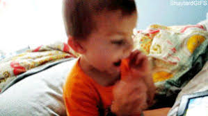 GIF fxx rob mcelhenney solar