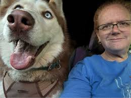 Introduction of dogs in santa cruz area