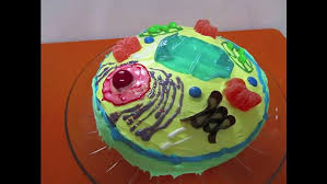 We also used a little of the batter to. How To Make A Plant Cell Cake Video Dailymotion