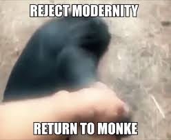 Maybe you would like to learn more about one of these? Reject Modernity Return To Monke Gif Rejectmodernity Returntomonke Monke Discover Share Gifs