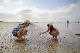 Installez la météo de st brevin l'ocean sur votre site. Saint Brevin Les Pins