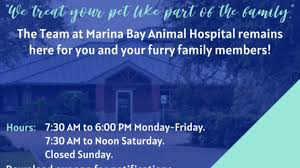 Check spelling or type a new query. Marina Bay Animal Hospital 256 Recommendations League City Tx