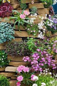 Pin By Krista Chandler On Gardens Rock Garden Plants Rock Wall Gardens Plants