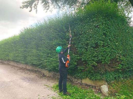 Hedge line cut back to a level shape in BR1