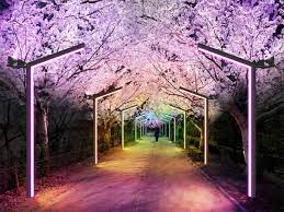 Objek wisata populer di korea ini merupakan rumah bagi lebih dari 4.000 makhluk laut. Busan Siapkan 10 Taman Lampu Untuk Jadi Kota Dengan Pemandangan Malam Terbaik Di Korea