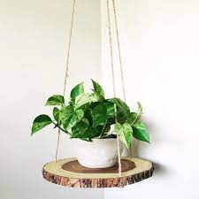 How To Diy Wood Shelf Plant Hanger Diy Plant Stand Diy Wood Shelves Plant Decor