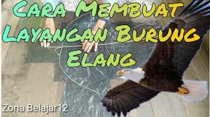 Makanan burung elang dan cara memeliharanya bagi pemula. Cara Membuat Layangan Burung Elang How To Make A Unique Kite 2 Youtube