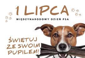 W ten weekend w wiśle po raz kolejny odbyła się beskidzka wystawa psów rasowych. Gify Dzien Psa Gify I Obrazki Na Gifyagusi Pl