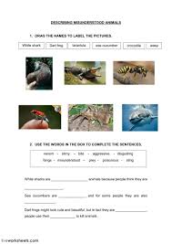 The Animals Interactive And Downloadable Worksheet You Can Do The Exercises On English As A Second Language English As A Second Language Esl School Subjects