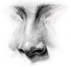 How To Draw A Nose Step By Step Nose Drawing Art Portfolio Drawings