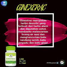 Ginextrac Herba Herbal Alami Seni