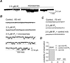 Symbol 'tsx.v:imin' is tsxv reporting company. Regulation Of The Miniature Plasma Membrane Ca2 Channel Imin By Inositol 1 4 5 Trisphosphate Receptors Journal Of Biological Chemistry